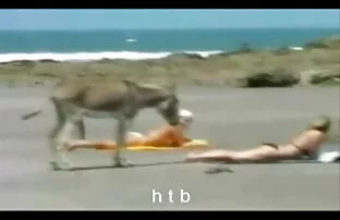 culos xxx audio latino más más